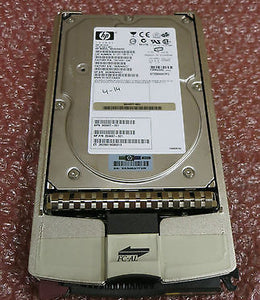 359667-001_1.jpg