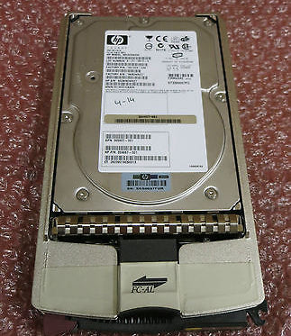 359667-001_1.jpg