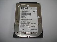 413644-001_1.jpg