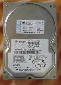 42C0461_1.jpg