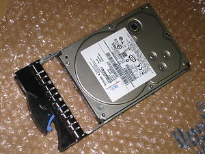 43W7579_1.jpg
