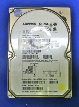 BD0186349B_1.jpg