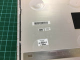 CWB-02529269_3.jpg