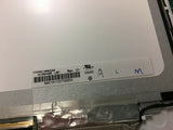 CWB-28023847_3.jpg