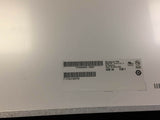 CWB-31099915_3.jpg