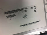 CWB-44181620_3.jpg