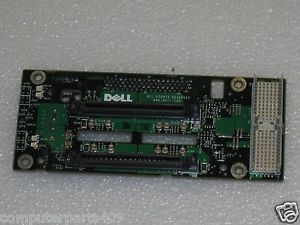 D1390_1.jpg