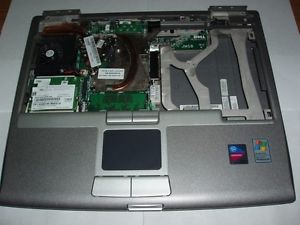 D4571_1.jpg