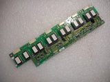 MSC-293429_1.jpg
