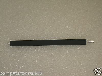 MSC-307275_1.jpg