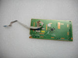 MSCAL-873047_2.jpg