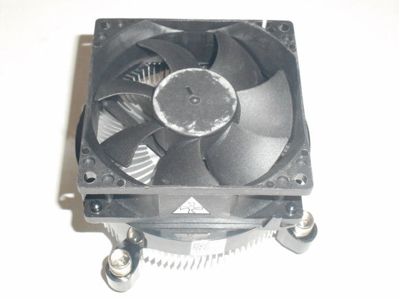 MSCDE-633901_1.jpg