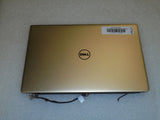 MSCDE-734146_2.jpg