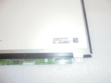 MSCDE-766504_3.jpg