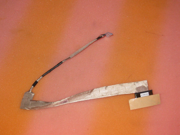 MSCDE-797038_1.jpg