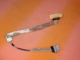 MSCDE-797038_2.jpg
