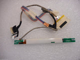 MSCEM-494613_1.jpg