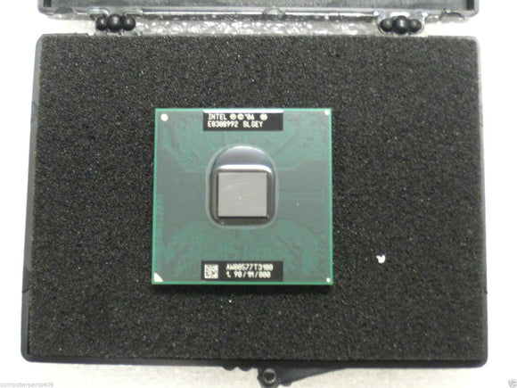 MSCIN-113601_1.jpg