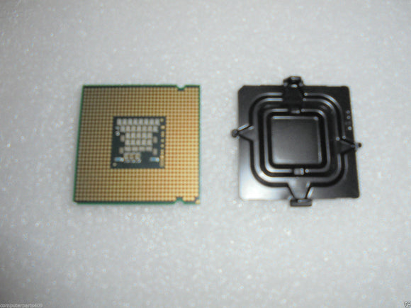 MSCIN-222883_1.jpg