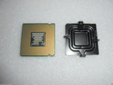MSCIN-222883_1.jpg