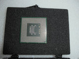 MSCIN-559436_2.jpg