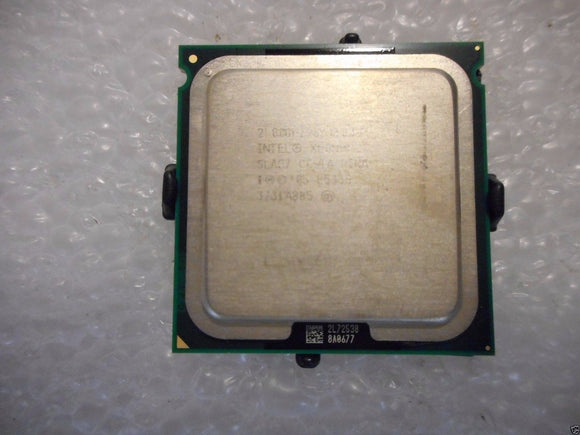 MSCIN-891003_1.jpg