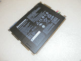 MSCLE-130159_1.jpg