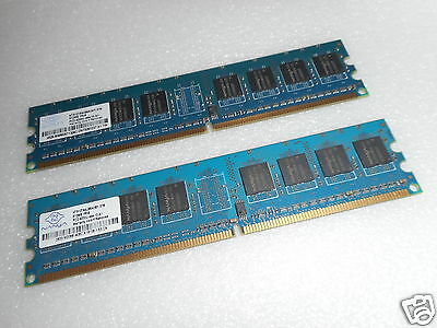 MSCNA-961571_1.jpg