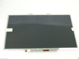 MSCSA-831345_1.jpg