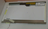 MSCSA-SCREEN_1.jpg