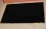 MSCSA-SCREEN_2.jpg