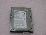 MSCSE-429075_1.jpg