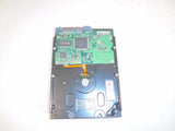 MSCSE-540992_2.jpg