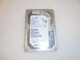 MSCSE-942460_1.jpg