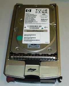 ND25058238_1.jpg