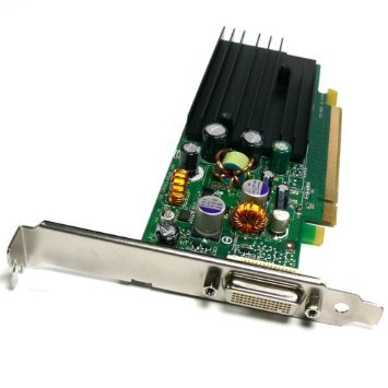 NV285_1.jpg