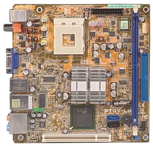 PTGV-LM_1.jpg
