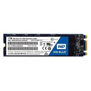 SES-WDS100T1B0B_1.jpg