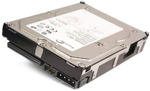 ST318453LW_1.jpg