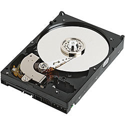 W107F_1.jpg