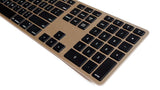 XEBC-269189_2.jpg
