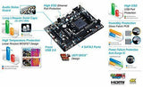 XEBC-271104_4.jpg