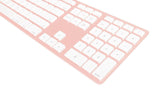 XEBC-275362_2.jpg
