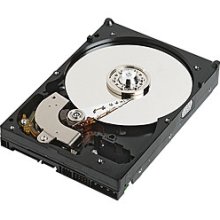 Y541J_1.jpg